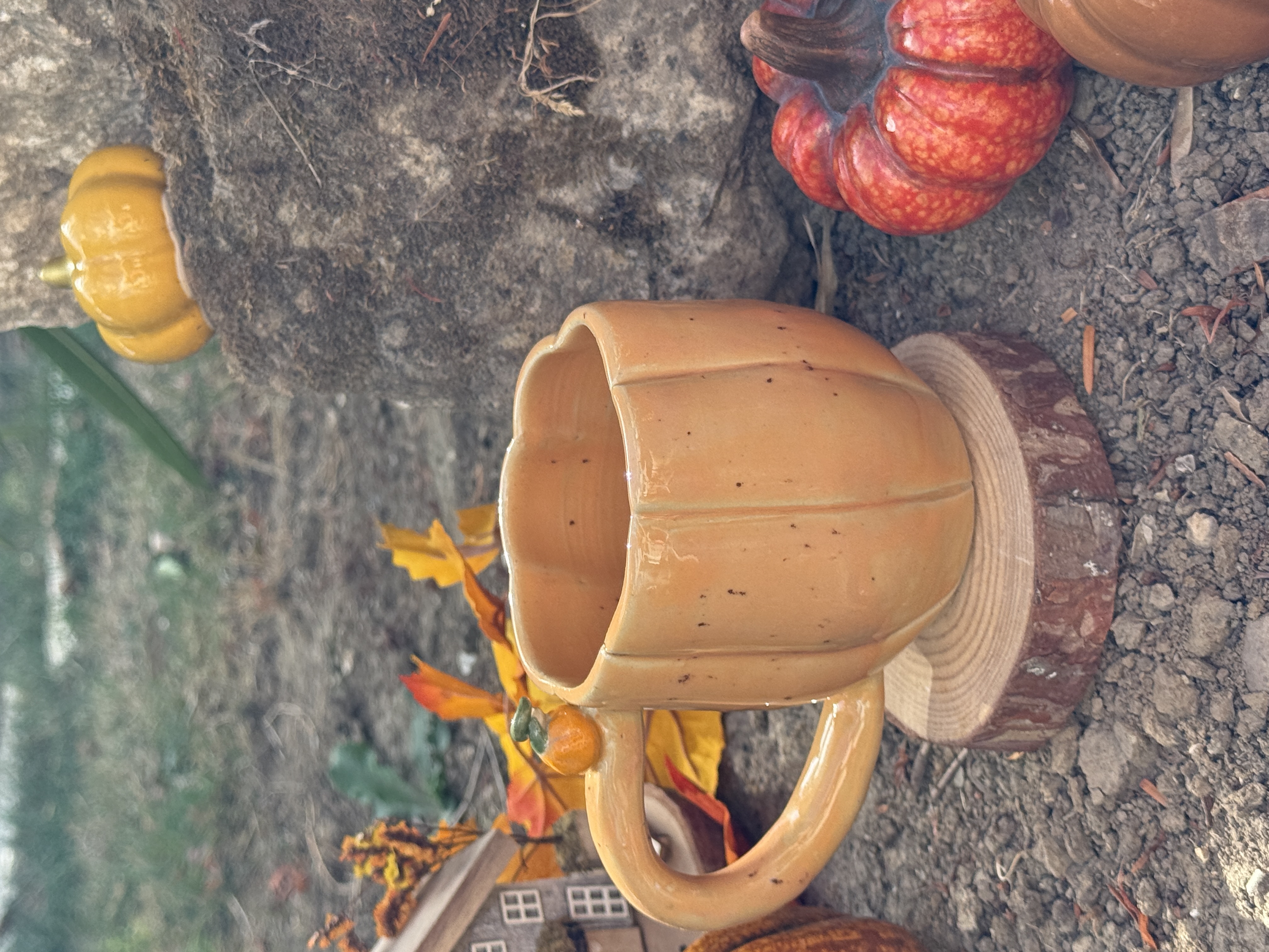 Tasse citrouille