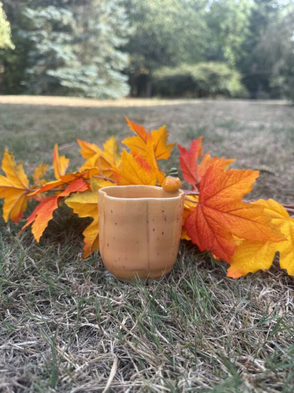 Petite tasse citrouille